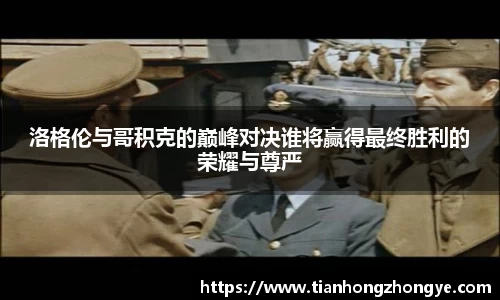 中欧体育