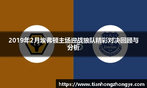 2019年2月埃弗顿主场迎战狼队精彩对决回顾与分析