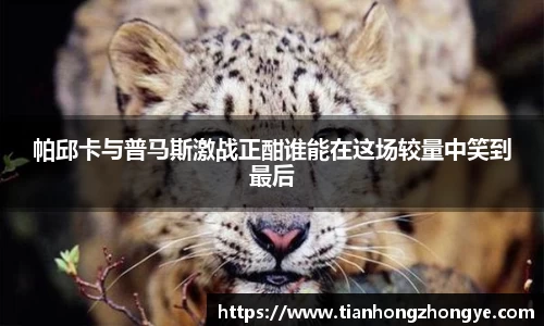 zoty中欧体育
