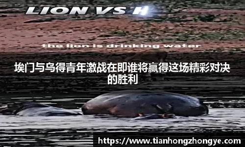 中欧体育官网